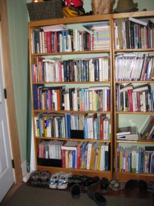 My Ordinary Joanna's Ordinary Bookcase