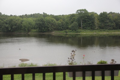 1731-back deck view