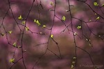 Post image for Happy (late) Spring Equinox! (and some spring cleaning…)